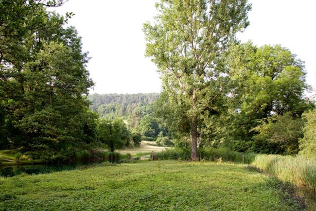 Gites La Forge De Sainte Marie Thonnance-les-Moulins Eksteriør bilde